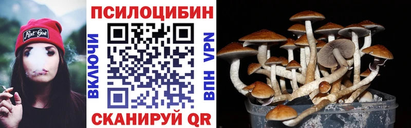 MEGA как зайти  как найти   Гусь-Хрустальный  Псилоцибиновые грибы мицелий 